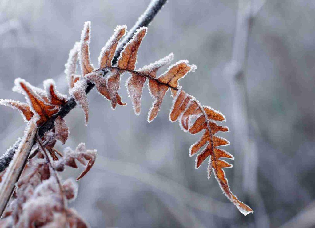 U Livnu jutro minus 1 stepen, danas u BiH sunčano vrijeme, prijepodne sa maglom