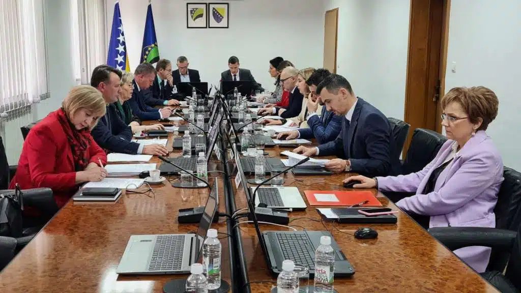 Vlada TK imenovala Radnu grupu za analizu i prevenciju maloljetničke delikvencije