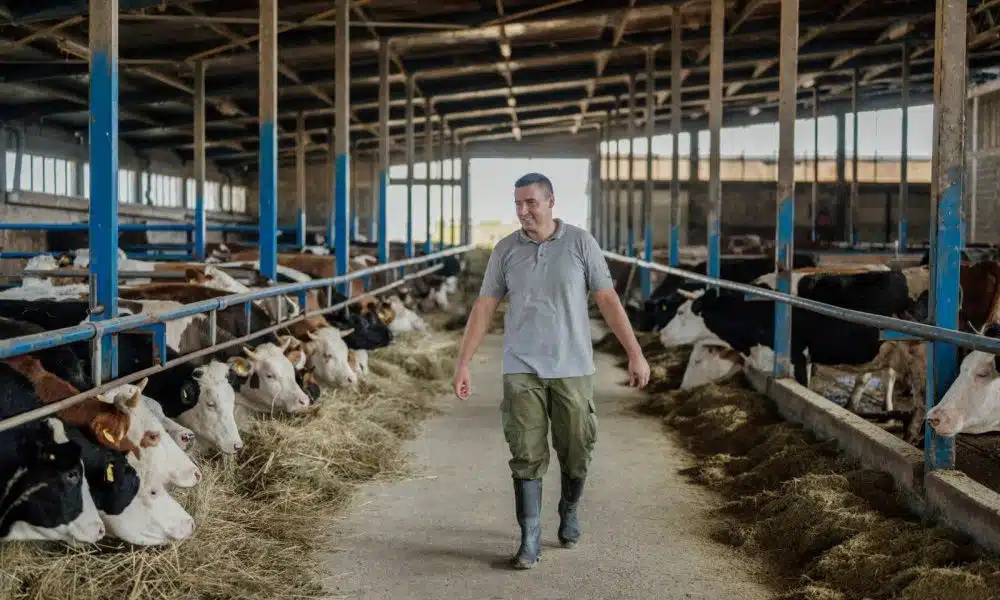 Ivan Bavrka sa svoje farme u Novom Travniku gdje je napravio mali seoski raj, Lactalisu isporučuje 500.000 litara mlijeka