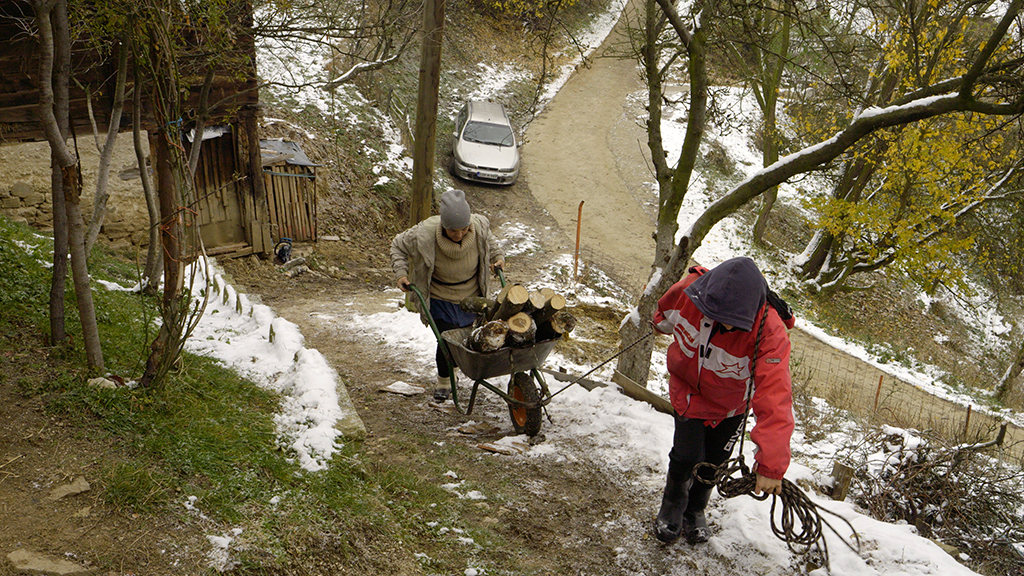foto-video:muž na postelji, esada na leđima nosi drva i hrani porodicu! – flash.ba