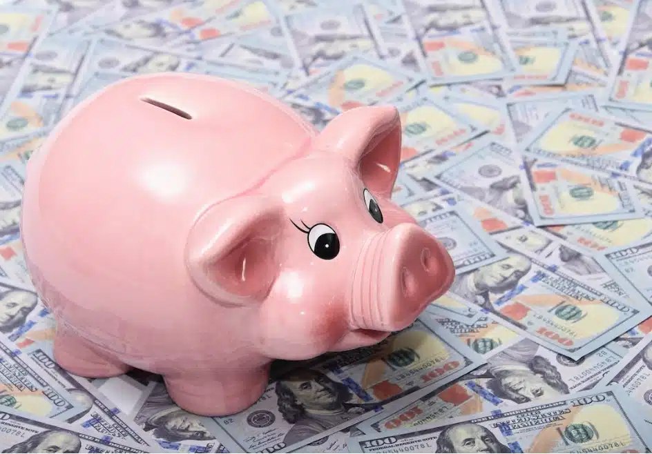 FINANSIJSKA SAVJETNICA OTKRILA Ovim trikom možete uštedjeti 1.800 KM za šest mjeseci