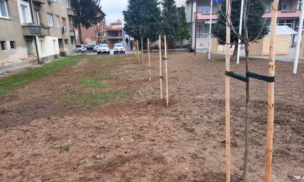 Novi Travnik: U tijeku sadnja novih stabala u užoj gradskoj zoni