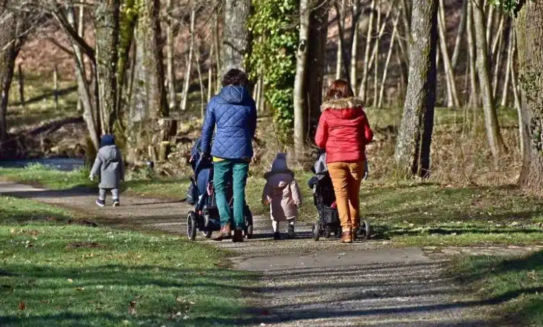 Počinje isplata naknada po osnovu zaštite porodice s djecom