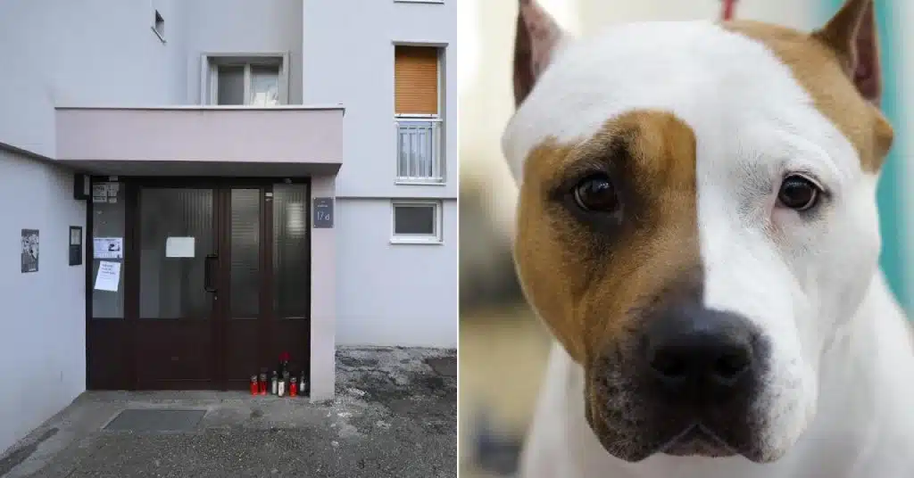 ‘Ne spavam, ne jedem, samo plačem. Proganja me scena kada sam vidjela svoju mrtvu majku…‘
