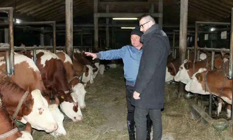 Vlada KS: Usvojen program utroška sredstava za zdravstvenu zaštitu životinja i sigurnost hrane
