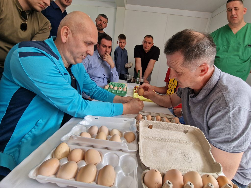 nova bila: dado topalović pobjednik bolničkog turnira u tucanju jaja