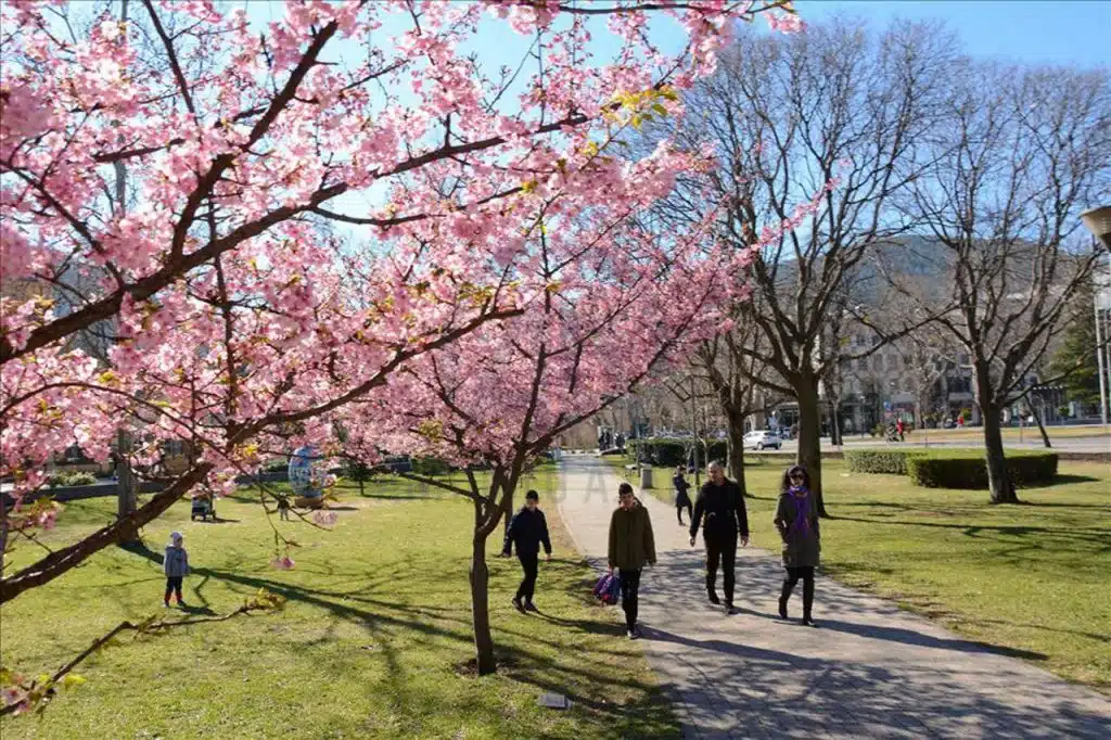 Stiže nam osjetno zatopljenje: Meteorolozi najavljuju ljetne temperature zraka