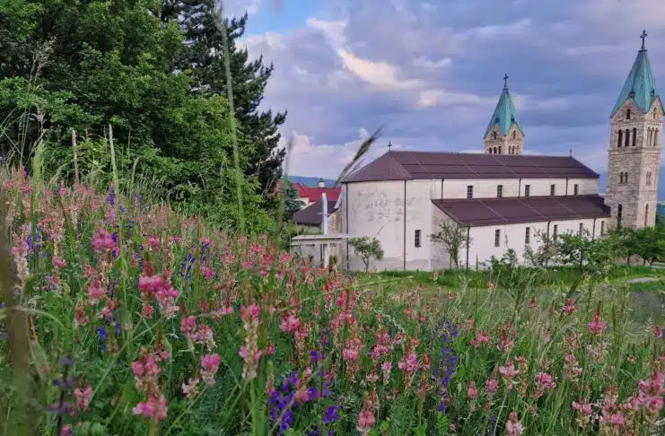 Ankica Radić o tradicijskoj kulturi Hrvata u Gučoj Gori: Pjeva onaj koga tuga mori