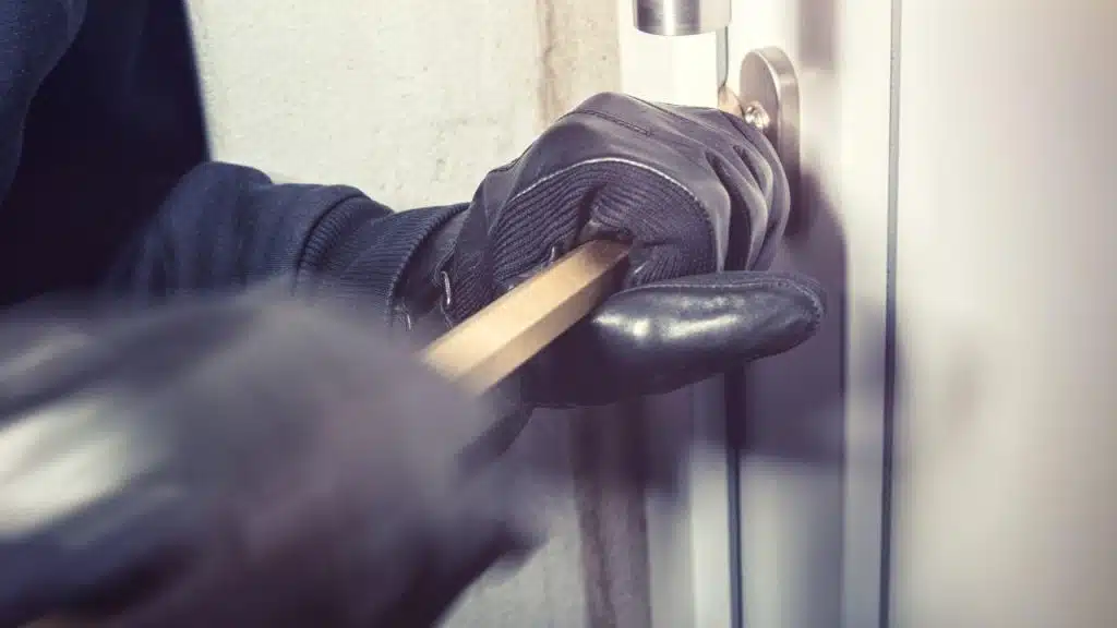 Oslobođenje – Policajci zatekli lopove u stanu u bh. gradu: Ojadili vlasnika