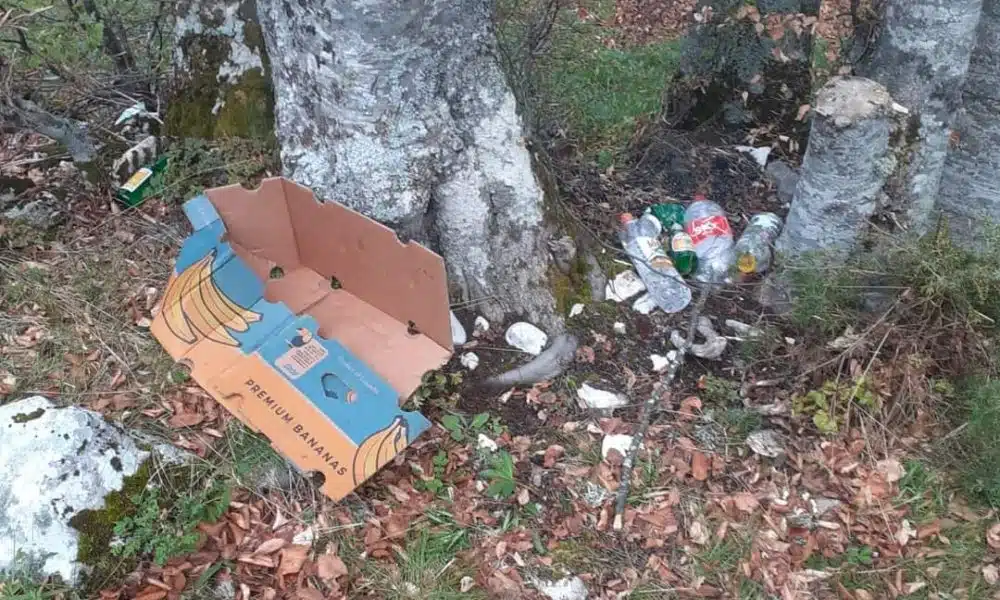 OK je da se roštilja ali ne i da se pokupi smeće!? Grozni prizori na Galici-Vlašiću poslije 1.maja