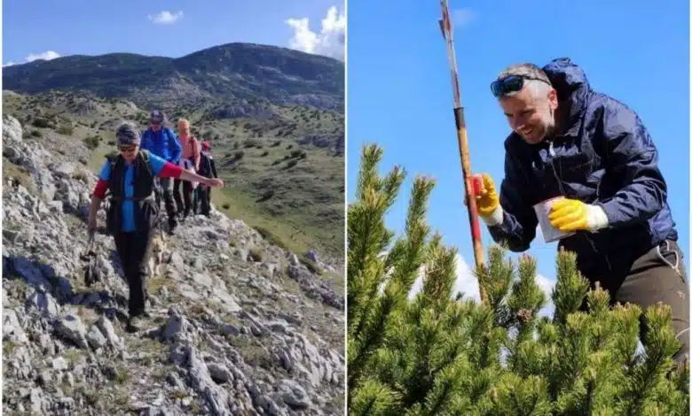 Markiranje staza na Bjelašnici, poduhvat za sigurnost i očuvanje prirode