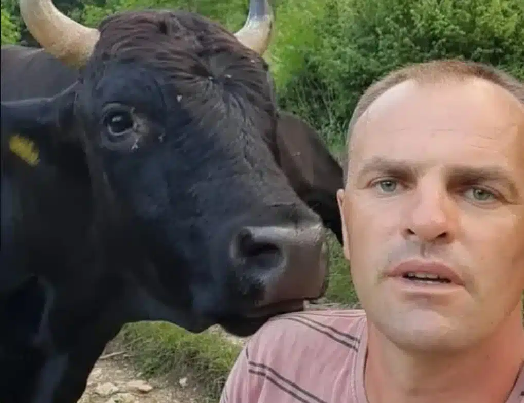 Tragedija u Središnjoj Bosni: Vlasnik usmrćen od strane bika