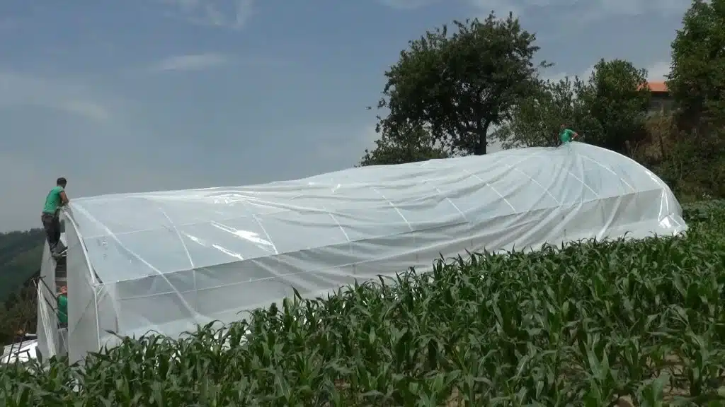 U toku je postavljanje plastenika korisnicima odabranih putem javnog poziva.