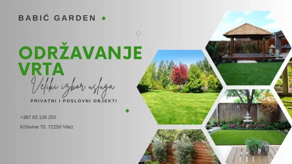 Ivica Babić iz Viteza: Inspiracija za mlade poduzetnike