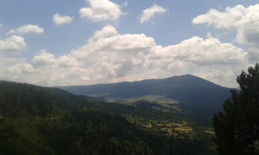 KSB: Odobrenje potrebno za kretanje šumom i šumskim putevima za određene kategorije