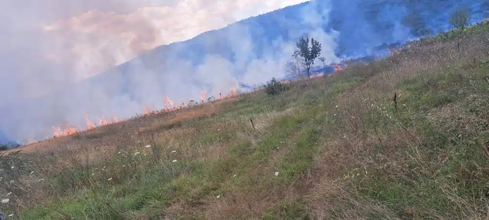 Veliki požar kod Gruda ugašen, spriječene ozbiljnije posljedice – TNTportal.ba