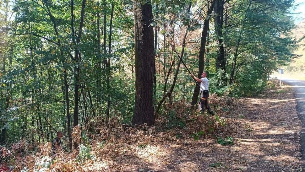 Adrenalinska atrakcija na Ilinčici: Novi zip line i park podići će turističku ponudu u Tuzli (FOTO) adrenalinska atrakcija na ilinčici: novi zip line i park podići će turističku ponudu u tuzli (foto)