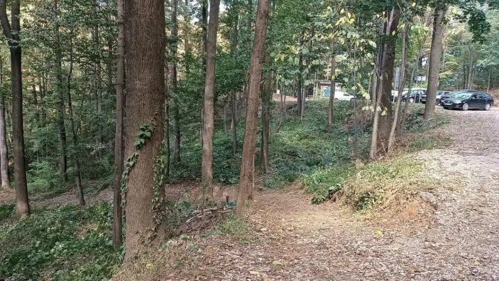 Novi zip line i park podići će turističku ponudu u Tuzli (FOTO)