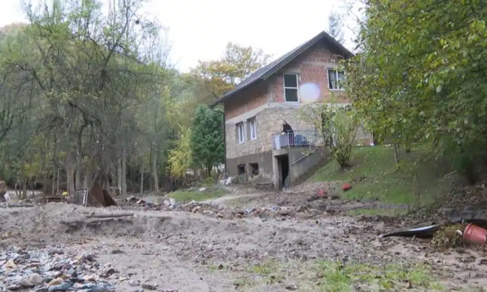 FOJNICA NAKON POPLAVA: Uginule životinje i dalje prisutne u dvorištima, strah od zaraze ostaje