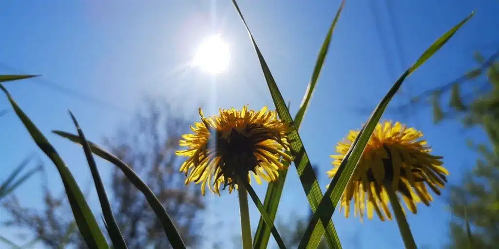 U sedmici pred nama možemo uživati u stabilnom vremenu i sunčanim danima