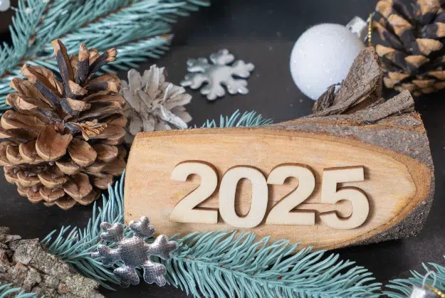 ASTROLOG TVRDI DA ĆE 2025. BITI „NAJVAŽNIJA GODINA CIJELOG VIJEKA“ Svijet čeka veliki reset – dolazi potpuno nova era