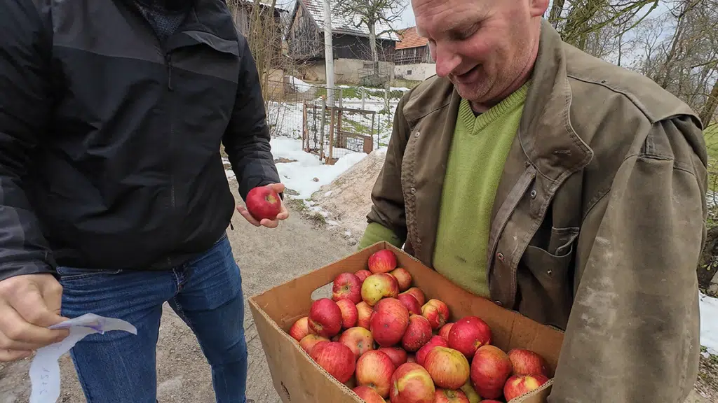 Domaće jabuke kalemljene Brkinom rukom prodaju po 2 KM za kilogram – flash.ba