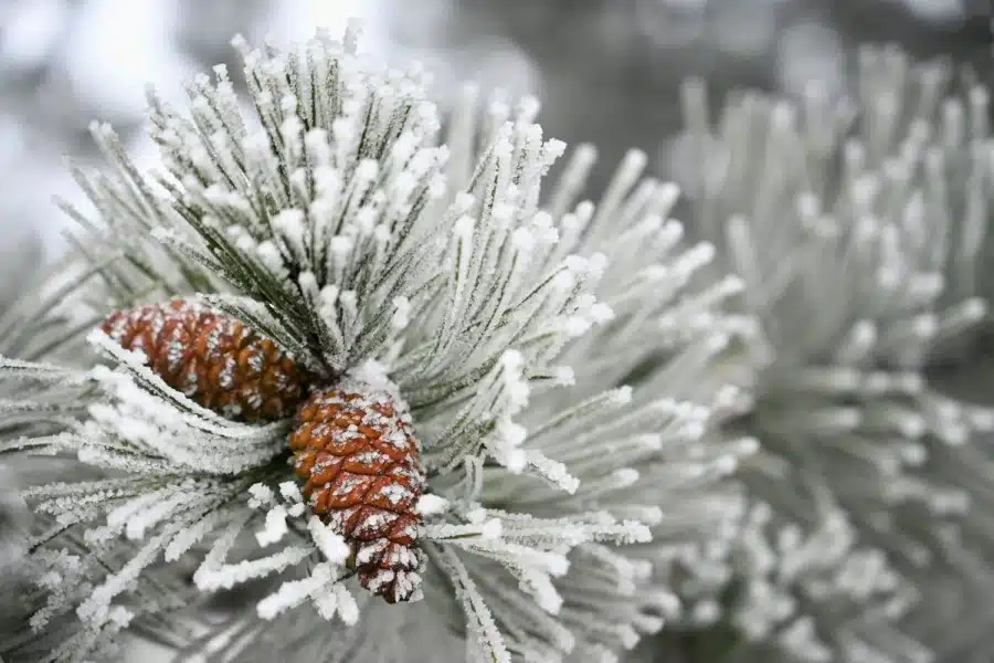 PROGNOZA ZA NEDJELJU, 8. DECEMBAR Meteorolozi objavili kakvo nas vrijeme očekuje danas