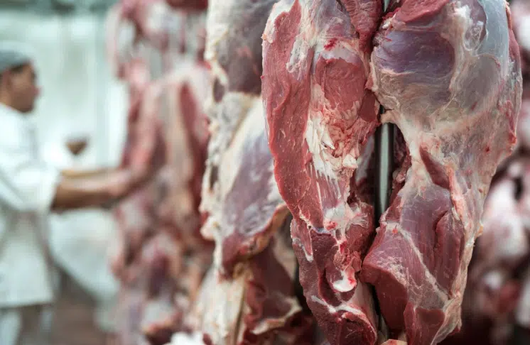 DUGA ČEKANJA IDU U ISTORIJU Ukinute veterinarske kontrole pri izvozu mesa iz BiH