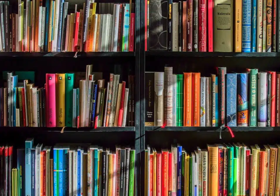 RAZLIČITE PREFERENCIJE Ove knjige su bile najtraženije u domaćim bibliotekama u 2024. godini