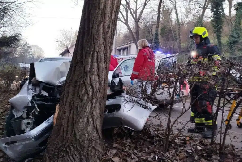 Vozilom udario u stablo, inervenisali Hitna i vatrogasci: Auto je potpuno smrskan