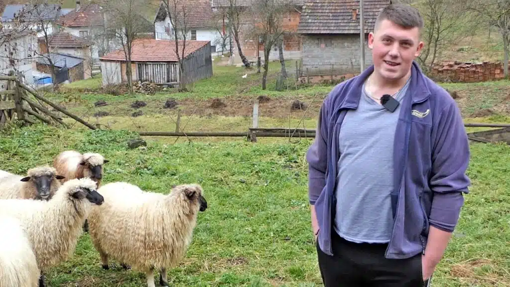 (VIDEO) Sam u selu čuva ovce, dok je nekad svaka kuća imala svoje stado