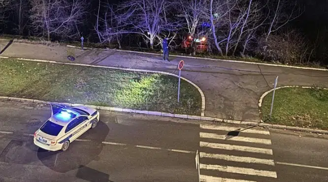 FILMSKA POTJERA Razuzdani tinejdžer bez dozvole divljao ukradenim BMW, pa sa drugarima sletio sa puta