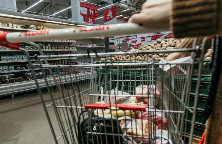 CIJENE RASTU, NOVČANICI SVE TANJI Evo koja je poskupljenja donijela Nova godina