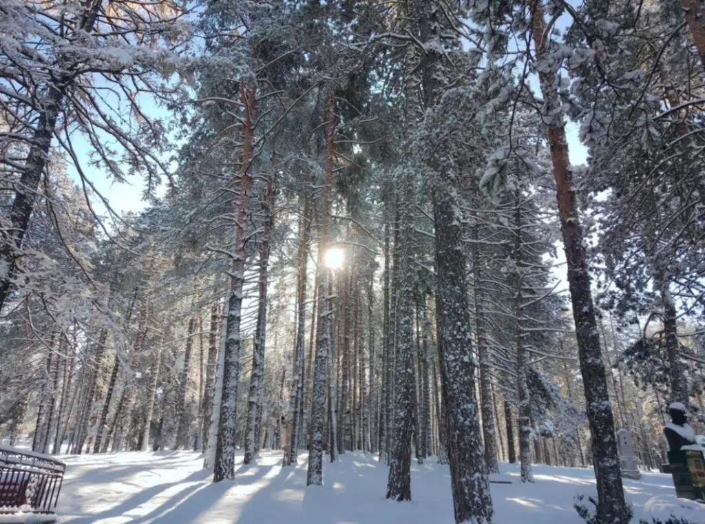 KADA DOLAZE SNIJEŽNE PADAVINE? Meteorolozi objavili prognozu za BiH do kraja januara