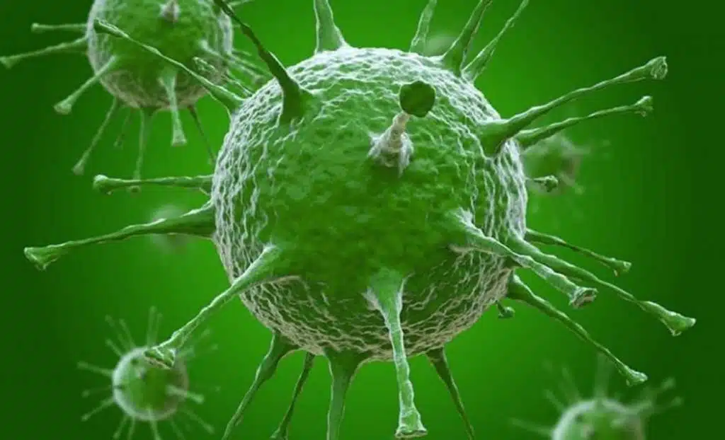 U ZDK 1.247 slučajeva akutnih respiratornih infekcija-sezonskih respiratornih infekcija