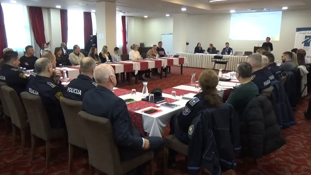 Validacijska radionica o programu mjera za zaštitu žrtava nasilja u porodici