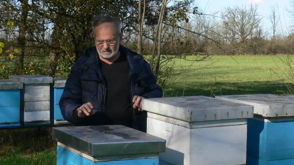 (FOTO) BIVŠI MINISTAR DANAS USPJEŠAN PČELAR Dane Malešević kaže da se u pčelinjaku odmara od politike