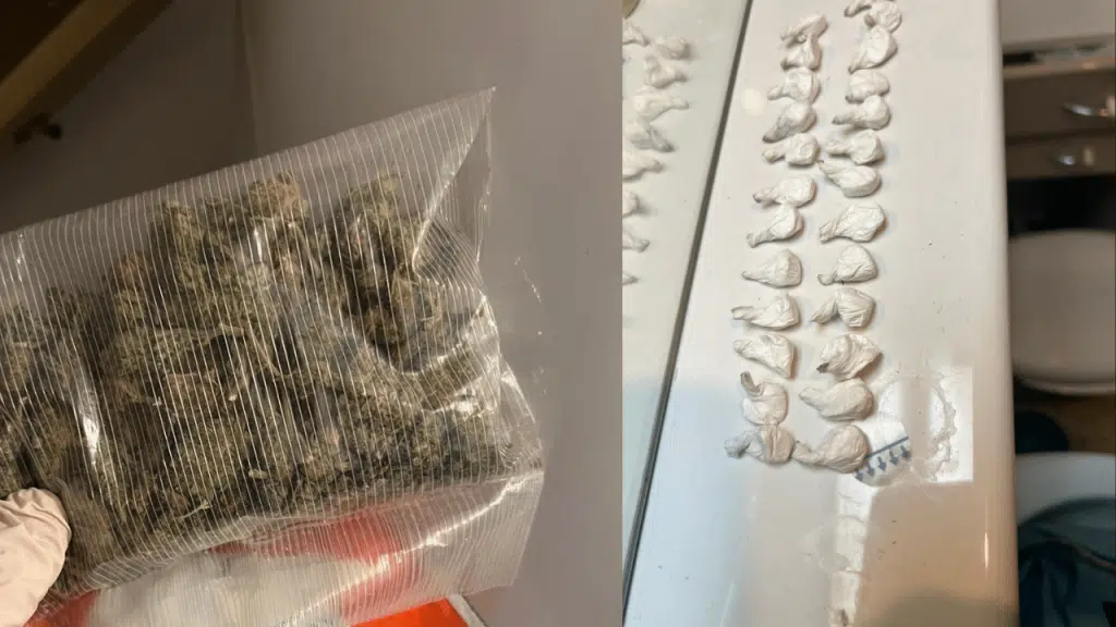 Policija u Travniku zaplijenila veću količinu droge, dvije osobe uhapšene (FOTO)