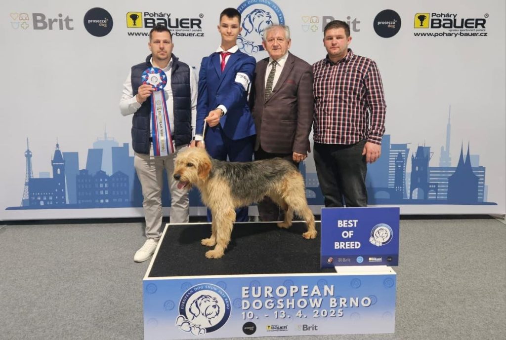 Luka Biletić i Bobi ponovno zablistali: Europski šampion i najljepši pas pasmine na European Dog Show 2025