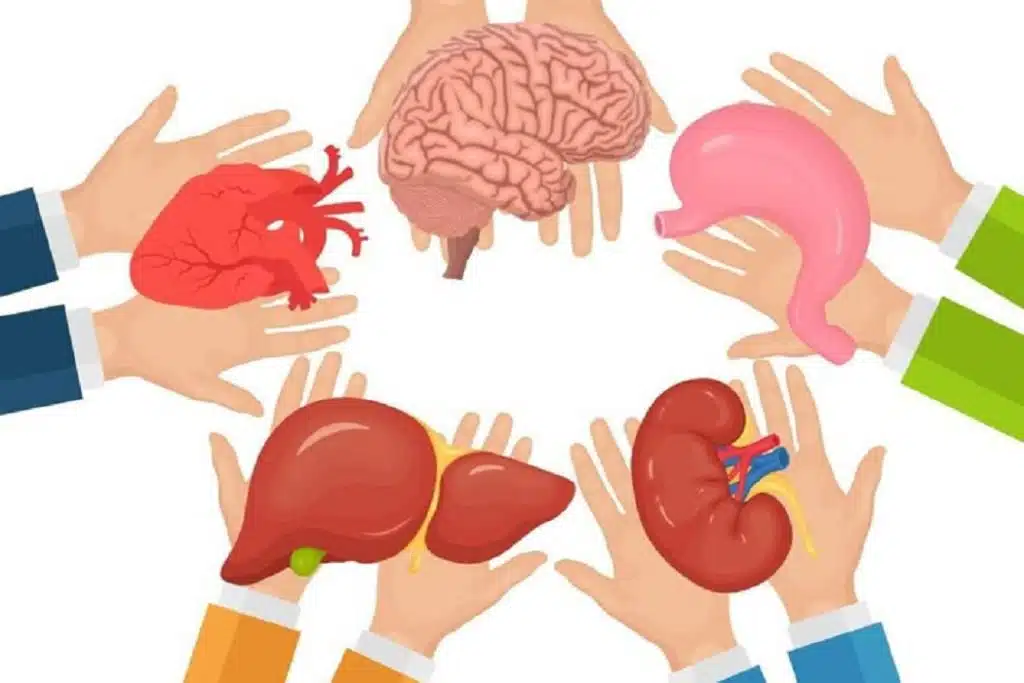 Transplantacija organa u Federaciji BiH: Izazovi i alternative