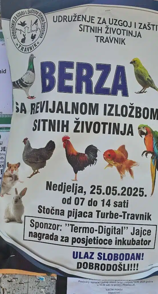 Berza sitnih životinja i revijalna izložba u Turbetu kod Travnika