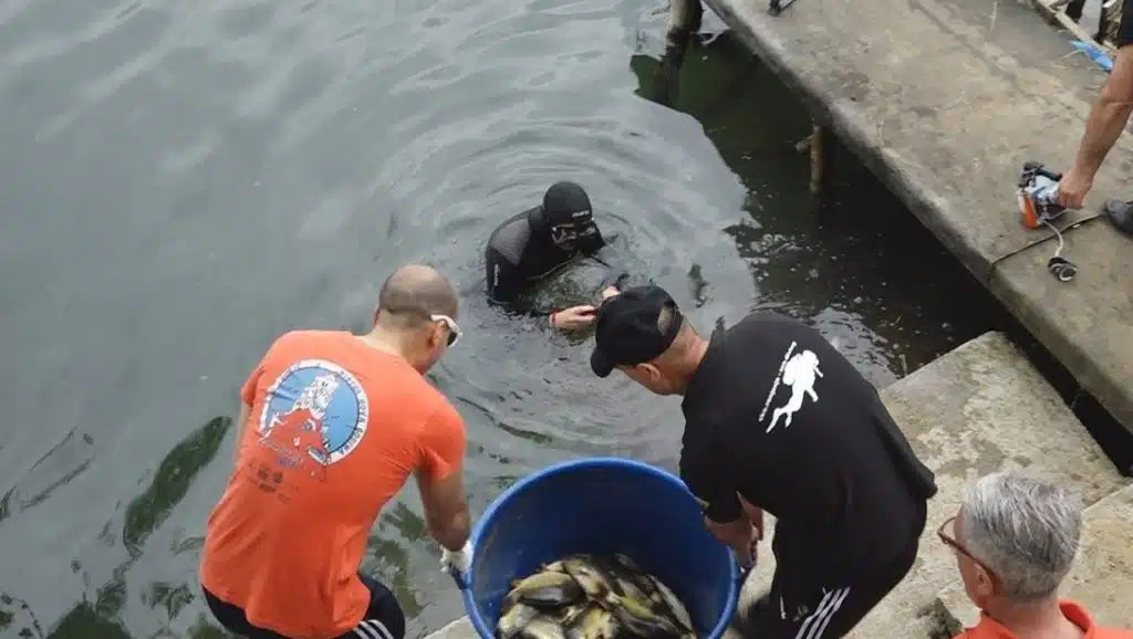 Organizovana akcija čišćenja obale i poribljavanje jezera Kop Šićki Brod (VIDEO)