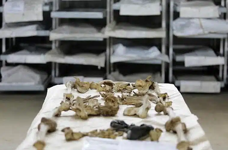 U Tuzli identifikovana još jedna žrtva genocida u Srebrenici