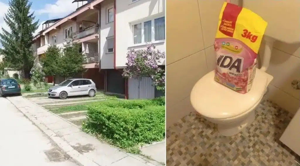 Stanarka Dobrinje otkrila pacova u WC-u, zovu građani i sa Alipašinog Polja da im iskaču miševi