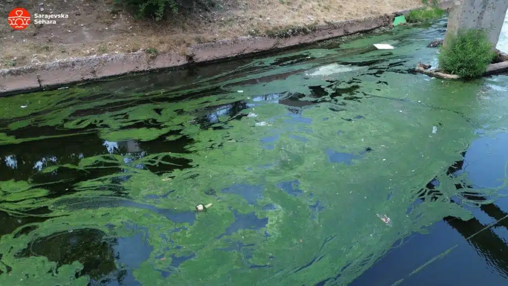 Video/ Čija sramota je ovakvo stanje Miljacke?! Umjesto bistre vode i žubora – mulj i sprudovi