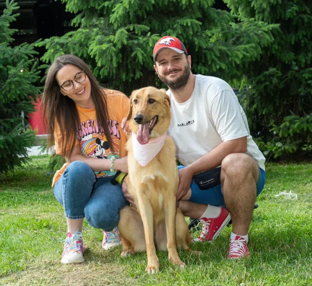 Dogs Trust:Podrška inicijativi KS u humanom upravljanju populacijom pasa kroz finansiranje sterilizacije vlasničkih pasa