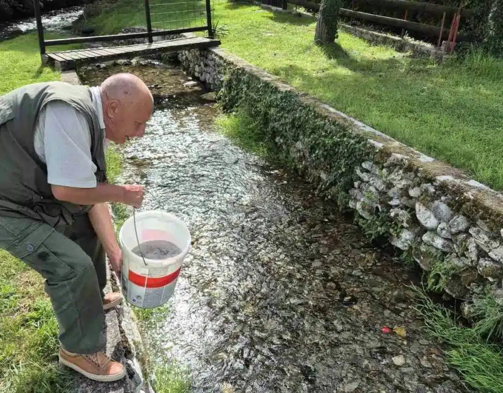 Rijeke Lašva i Ugar bogatije za 20.000 komada mlađi potočne pastrmke
