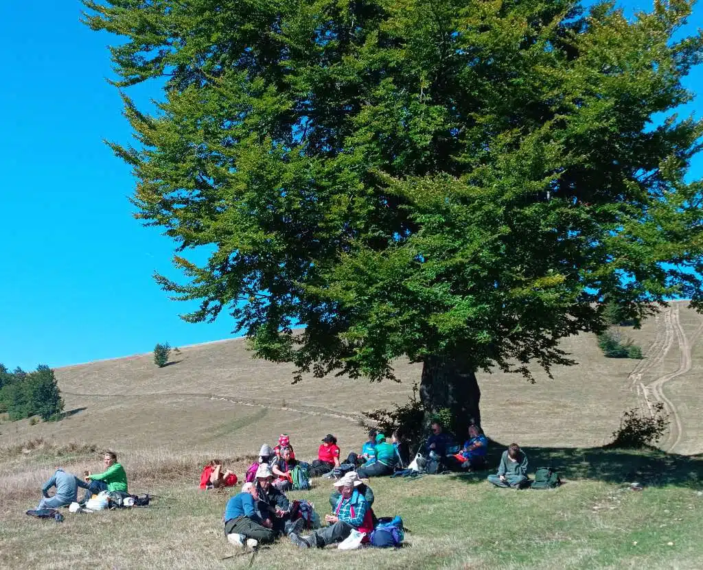 Dani planinara FBiH ovog vikenda na planini Lisac iznad Zenice