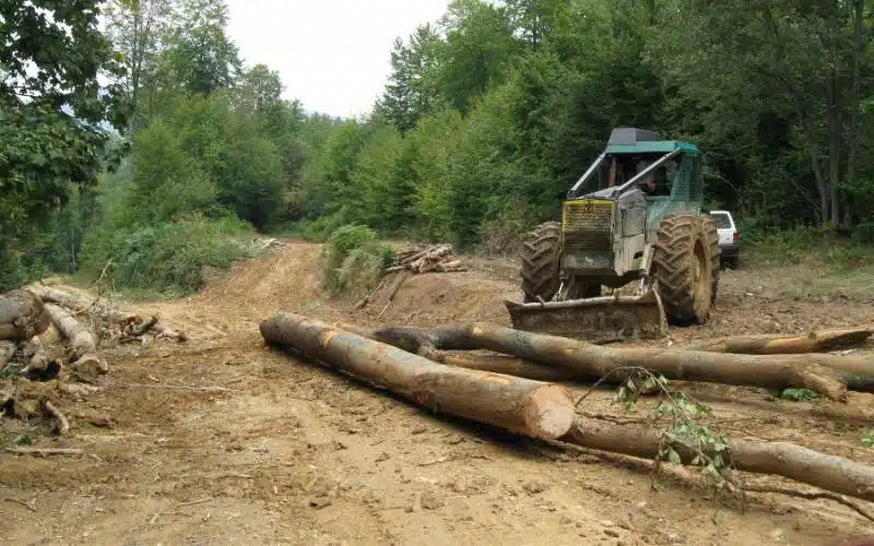 Izgubljeno blizu šest miliona KM, ozbiljne nepravilnosti u poslovanju Šumsko privrednog društva ZDK-a