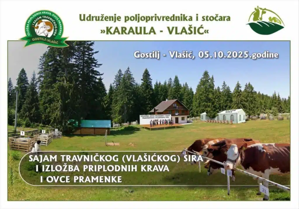 Sajam travničkog (vlašićkog) sira, izložba priplodnih krava i ovce pramenke